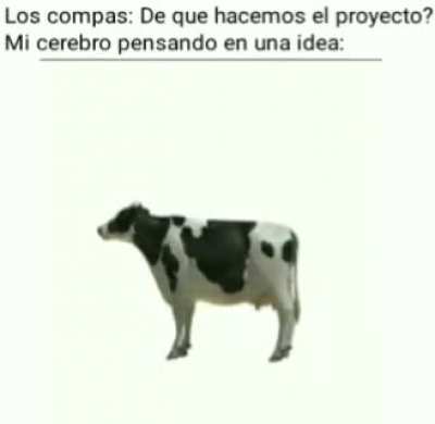 Yo: