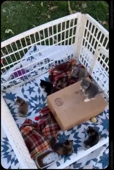 Окруж<wbr>ены, но не сломл<wbr>ены!