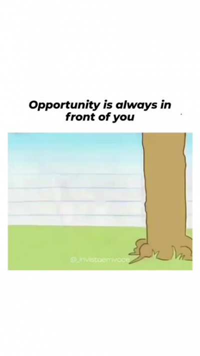 Oportunidades