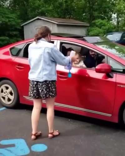 Perfectly cut scream after the bird appears