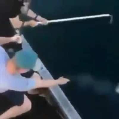 Normal day fishing
