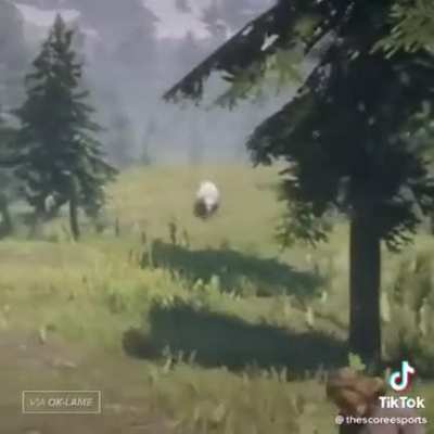 🐻