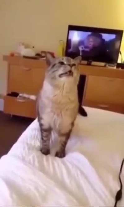 Sneeze 