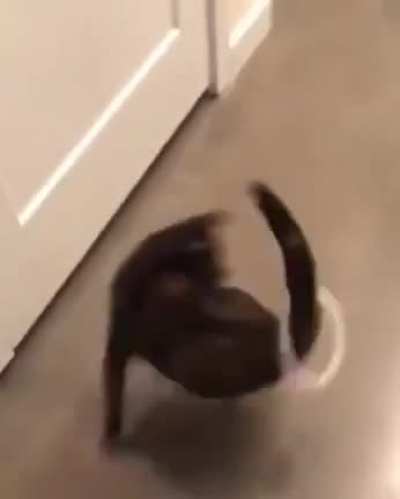 Almost caught it