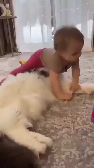 Kids vs kats