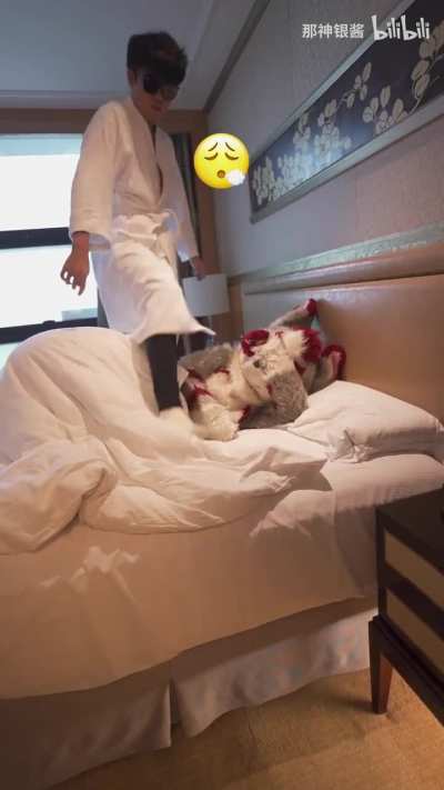 FURRY😴IRL
