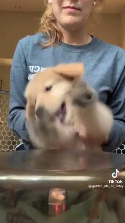 Nose que poner acá pero buen dia