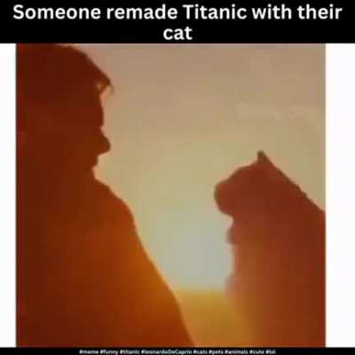 TitaniCat