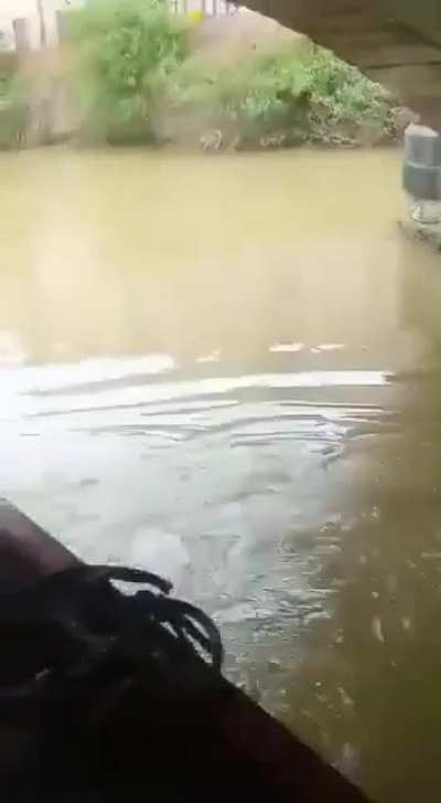 To climb over the bridge