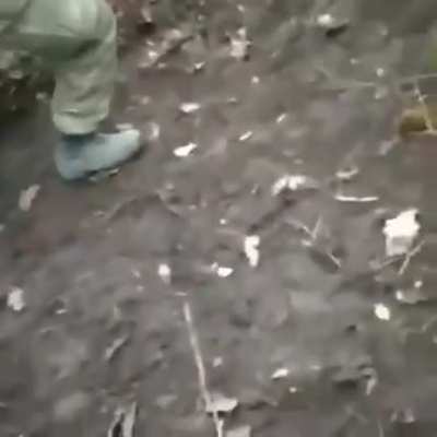 Pashiiiiik,you had one job.Əsgərlərimiz çətinlik çəkir sənin üzündən(əsgərin möhtəşəm aktyorluğu)