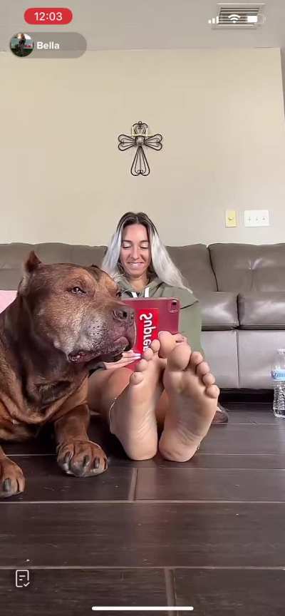 Wish I was Babyxxbellas dog