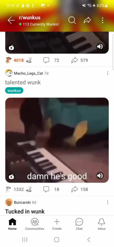 The duality of wunk