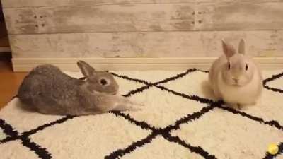 How to subtlety get kisses 101