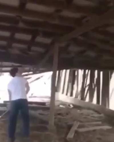 How stupid can you actually be...