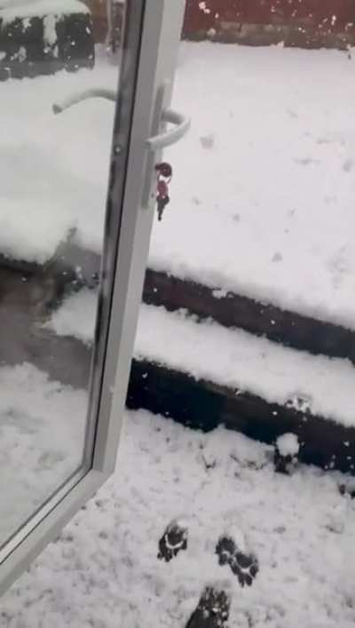 Maybe Maybe Maybe