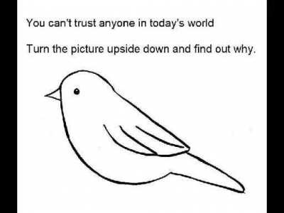 Trust me