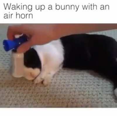 Pom...Pom...