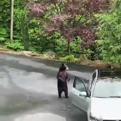 To enter the Mercedes