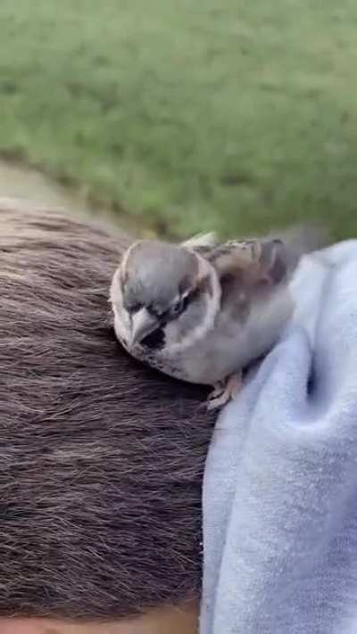 I live here now
