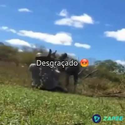 Espirito maligno