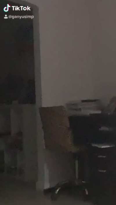 MY FRIEND WAS GOING TO DO A TREND AND SHE HEARD SOMETHING FROM HER KITCHEN