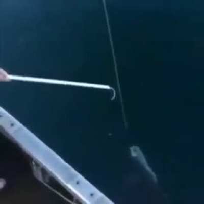 That's huge