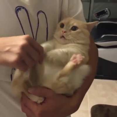 No touch