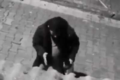 kafası hoşken bile köpekle mantıklı konuşan insanlar var ,ülkenin %52 si ayık kafayla bile insanlarla düzgün konuşamıyor amk