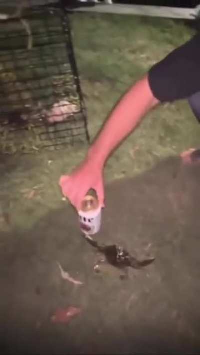 how do you grab a crab