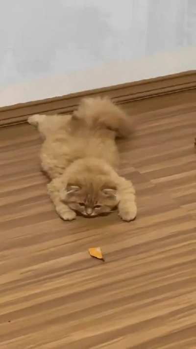 Monday morning...
