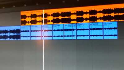 Saw someone say that WCOYM sounds like TOSOP, so I made a mashup: