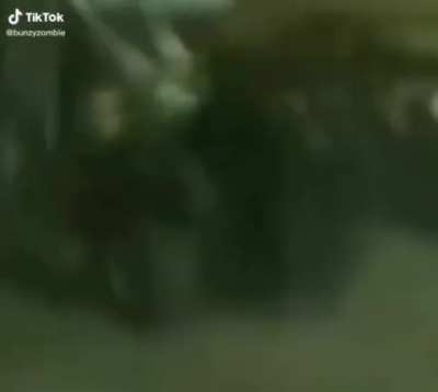 shitposting - Video #0299