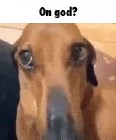 🐸