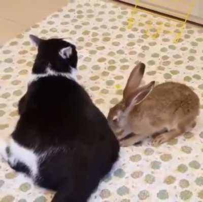 Free back massage!