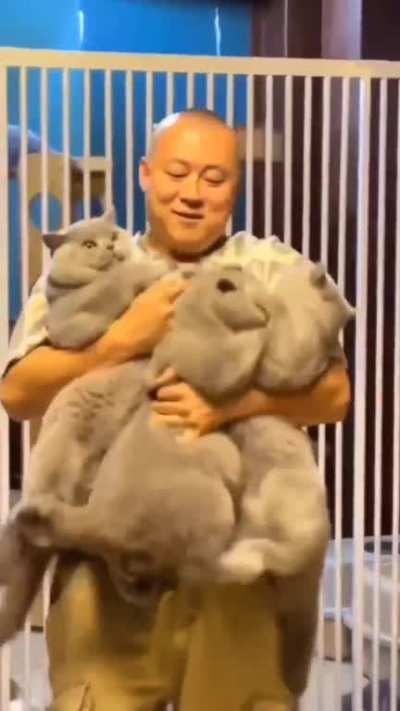 That's Chonk Bosses