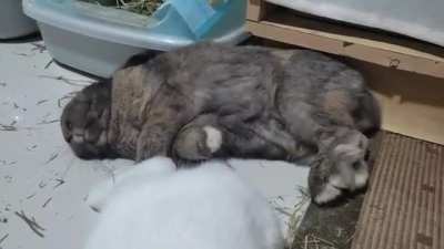 What woke him up?