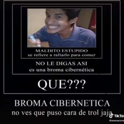 Broma cibernética