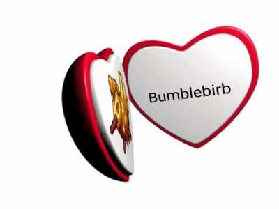 Why they changed bumblebirb?