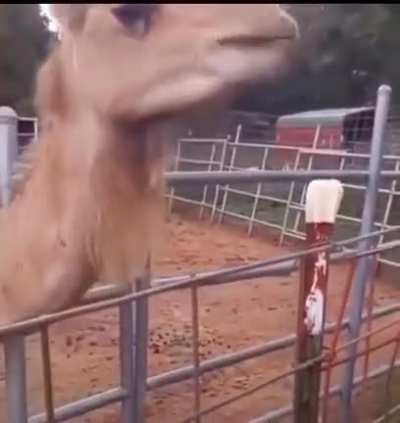 Hmmm