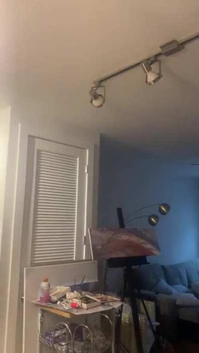 My upstairs neighbor who accuses me of banging on the ceiling of my luxury apartment.