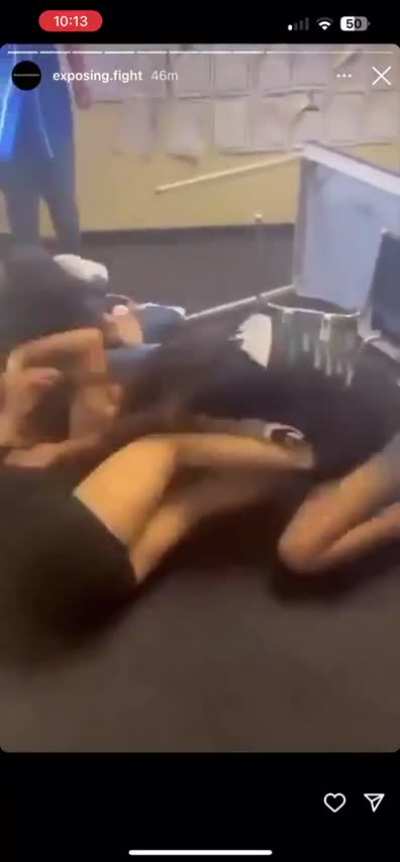 Double catfight 