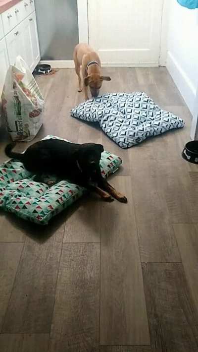 Stealth mode attack