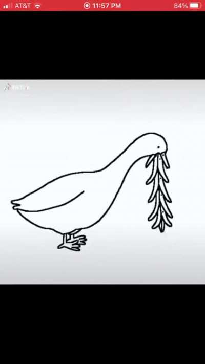 Blursed Duck