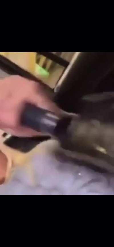 I found this video
