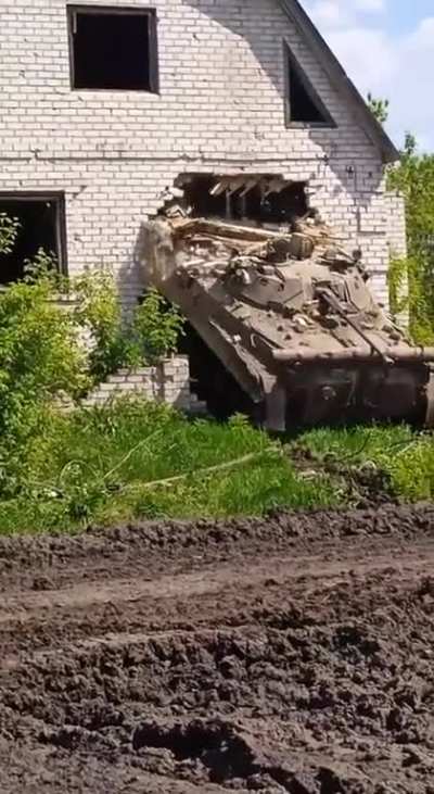 How BMP is born.