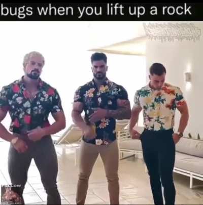 rule