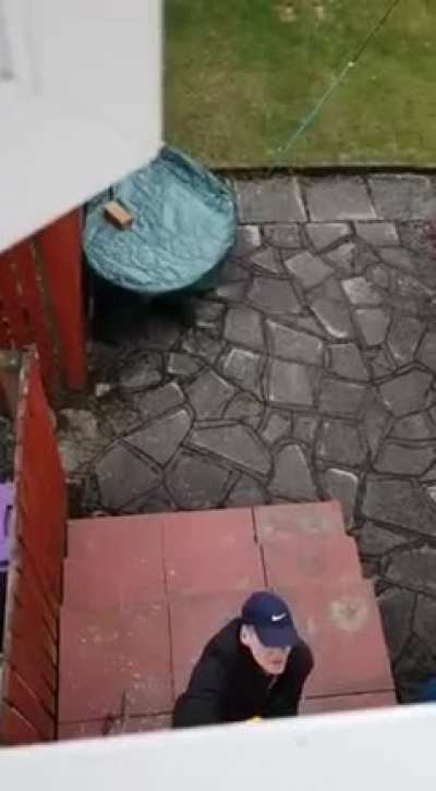 Amateur theif