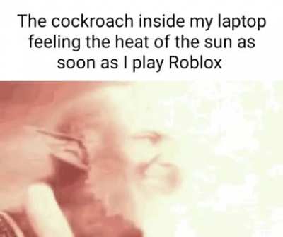 bobux