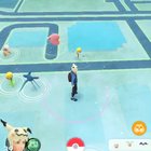 My brother evolved his starter Bulbasaur to reach level 40 today