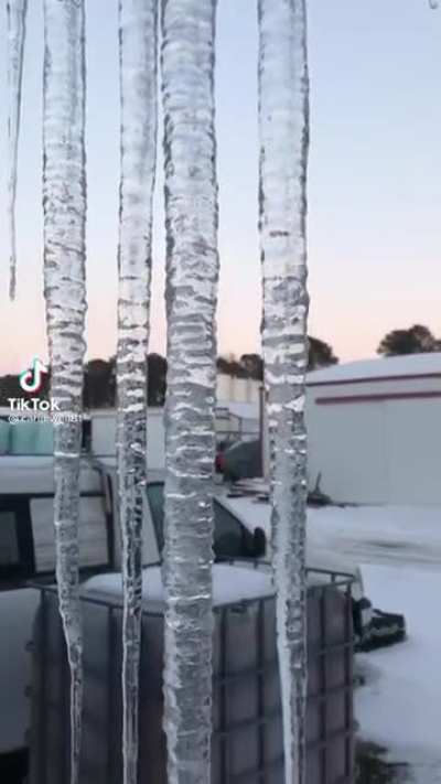 The ice is noice.